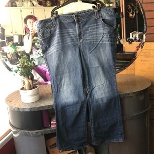 Lane Bryant Jeans ❣️✨❣️